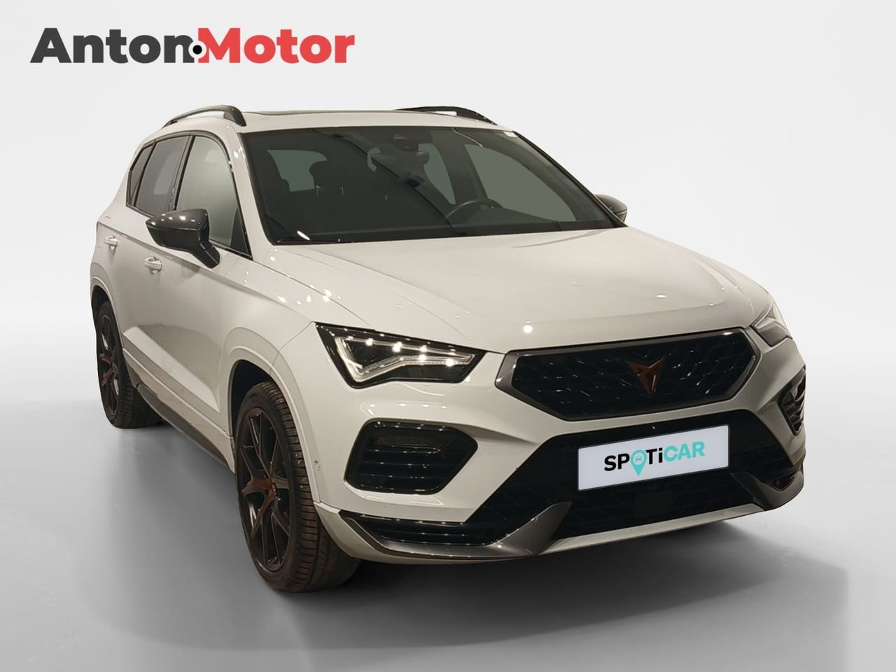Cupra Ateca 2.0 TSI 221kW (300CV) 4Drive DSG